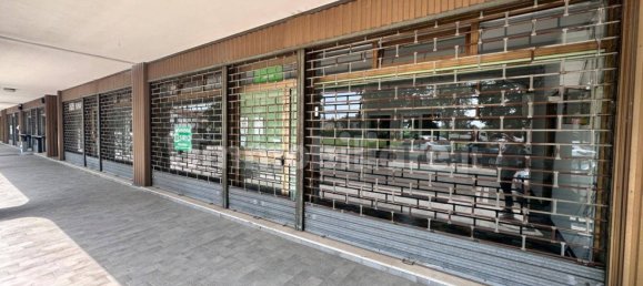 2 rooms Commercial property in Udine, Italy No. 302230 7