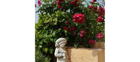 6 غرف نوم فيلا في Silves, Portugal رقم 129261 28