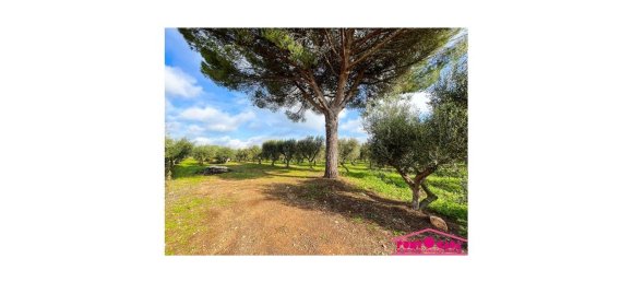 استوديو في Ceglie Messapica, Italy رقم 41941 7