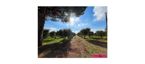 استوديو في Ceglie Messapica, Italy رقم 41941 6