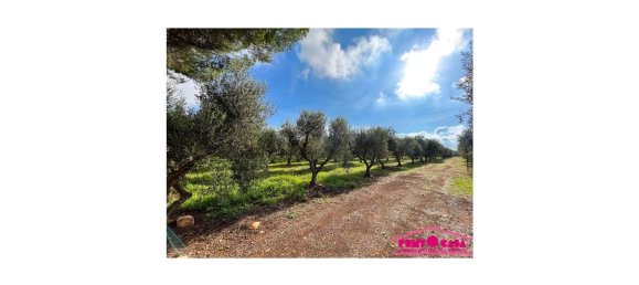 استوديو في Ceglie Messapica, Italy رقم 41941 8