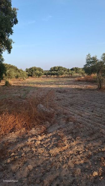 5750m² Land in Torrao, Portugal No. 252627