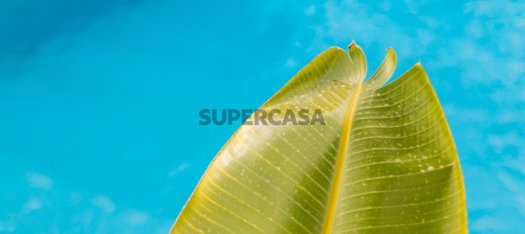 Casa de 4 dormitorios en Armacao de Pera, Portugal No. 161906 16