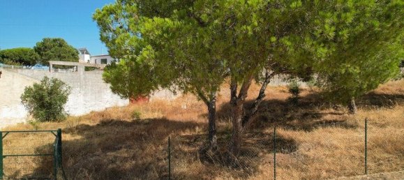 3326m² Land in Montenegro, Portugal No. 142324 12