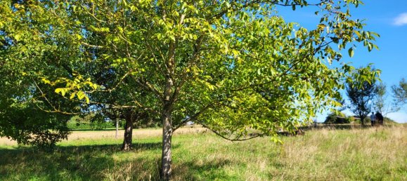 Terreno em Esslingen, Germany N.º 336481 3