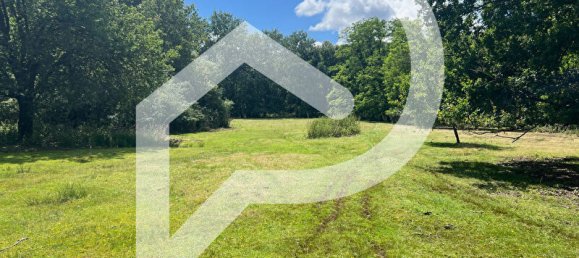 5 bedrooms Castles in La Ferte-Saint-Aubin, France No. 243009 6