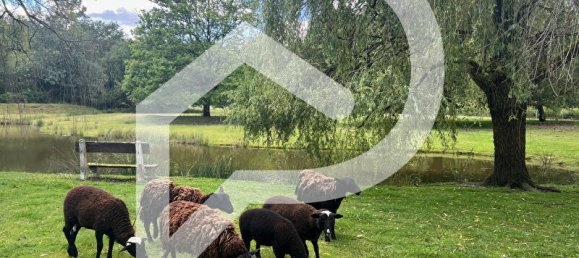 5 bedrooms Castles in La Ferte-Saint-Aubin, France No. 243009 4