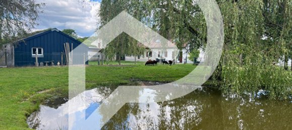 5 bedrooms Castles in La Ferte-Saint-Aubin, France No. 243009 2