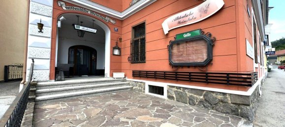 Propiedad comercial en Spittal an der Drau, Austria 345 m² No. 51586 3