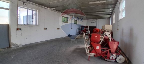 347m² Warehouse in Riva del Po, Italy No. 315747 4