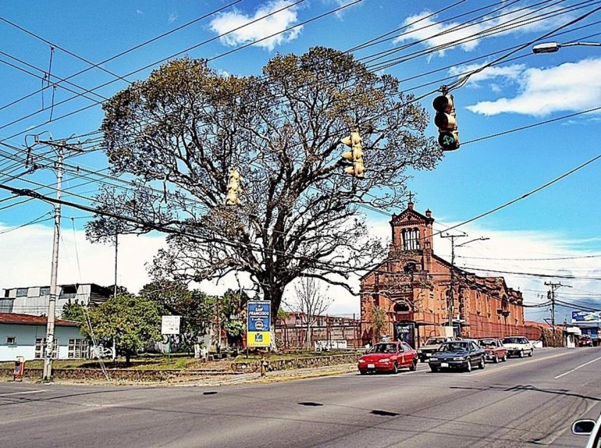  Land in Goicoechea , Costa Rica No. 1803