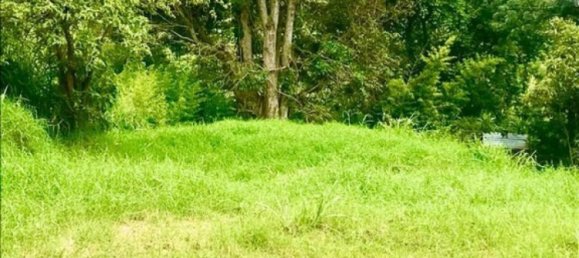  Land in Goicoechea , Costa Rica No. 1803 2