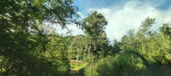  Commercial property in Pattaya, Thailand No. 255 15