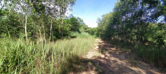  Commercial property in Pattaya, Thailand No. 255 13