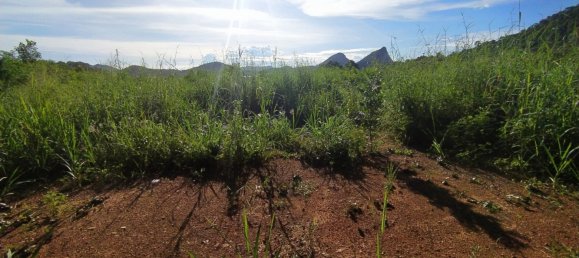  Commercial property in Pattaya, Thailand No. 255 5