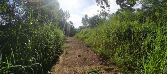  Commercial property in Pattaya, Thailand No. 255 12