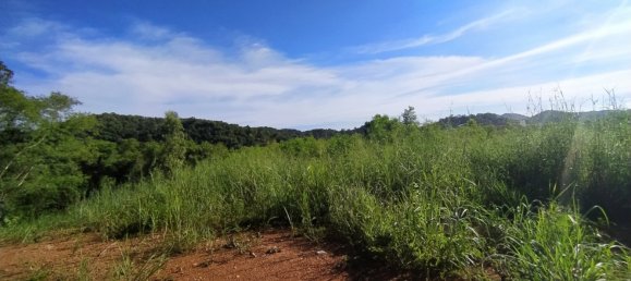  Commercial property in Pattaya, Thailand No. 255 6