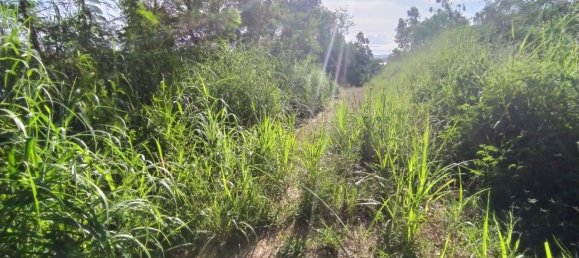  Commercial property in Pattaya, Thailand No. 255 11