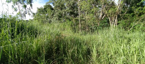  Commercial property in Pattaya, Thailand No. 255 10