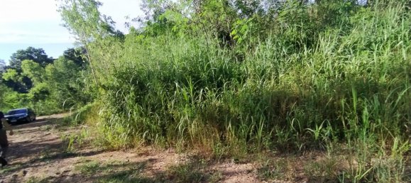  Commercial property in Pattaya, Thailand No. 255 3