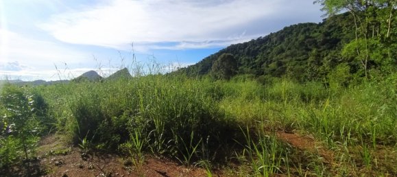  Commercial property in Pattaya, Thailand No. 255 8