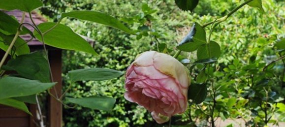 2 غرف نوم تاون هاوس في Sudwestpfalz, Germany رقم 364596 7