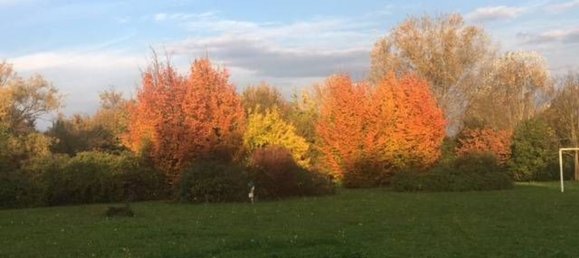 Villa de 20 habitaciónes en Roncade, Italy No. 229525 2