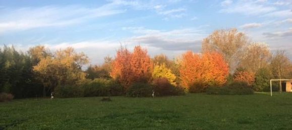 Villa de 20 habitaciónes en Roncade, Italy No. 229525 20