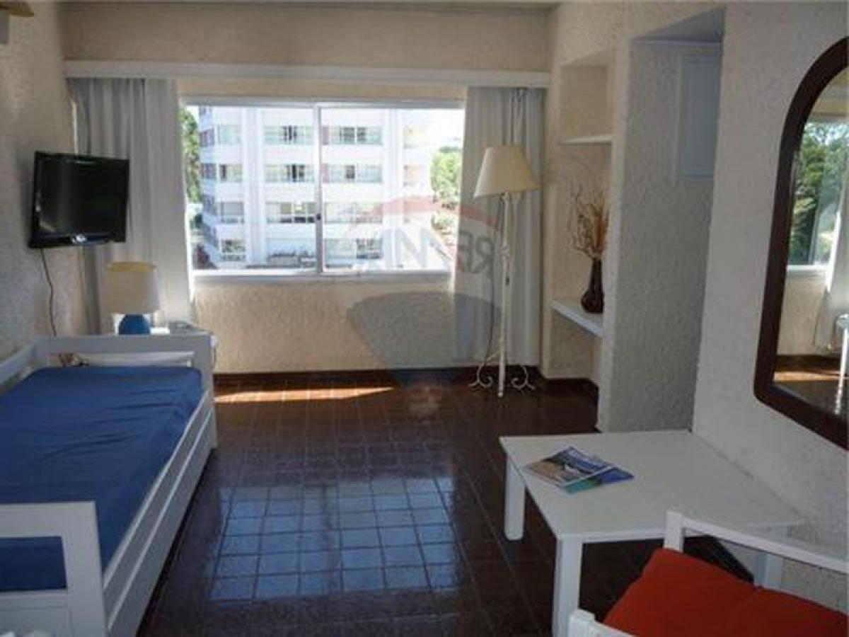 Studio in Maldonado, Uruguay No. 10381