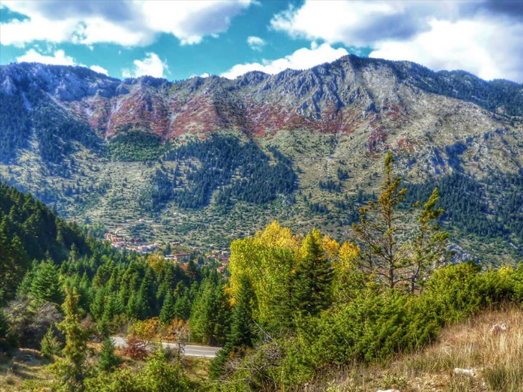  فندق في Phocis, Greece 25000متر مربع رقم 6825