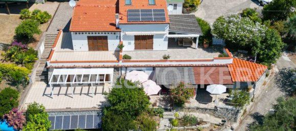 3 rooms Apartment in Campo nell'Elba, Italy No. 102160 2