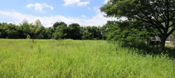 Terreno em Chiang Mai, Thailand N.º 57726 3