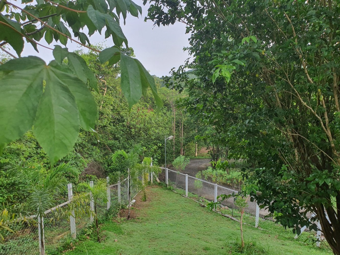 20000m² Land in Pak Chong, Thailand No. 74689