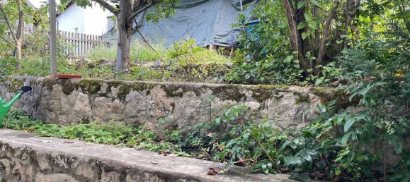 Дом с 5 комнатами в Регенсбург, Германия № 303710 24