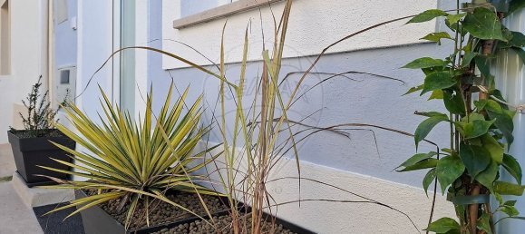 Дом с 2 спальнями в Томар, Португалия № 14675 5