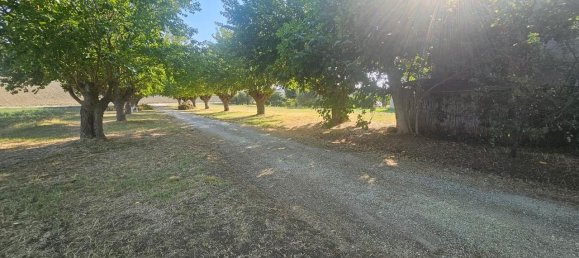 5-salle Maison à Monte Roberto, Italy No. 118631 6