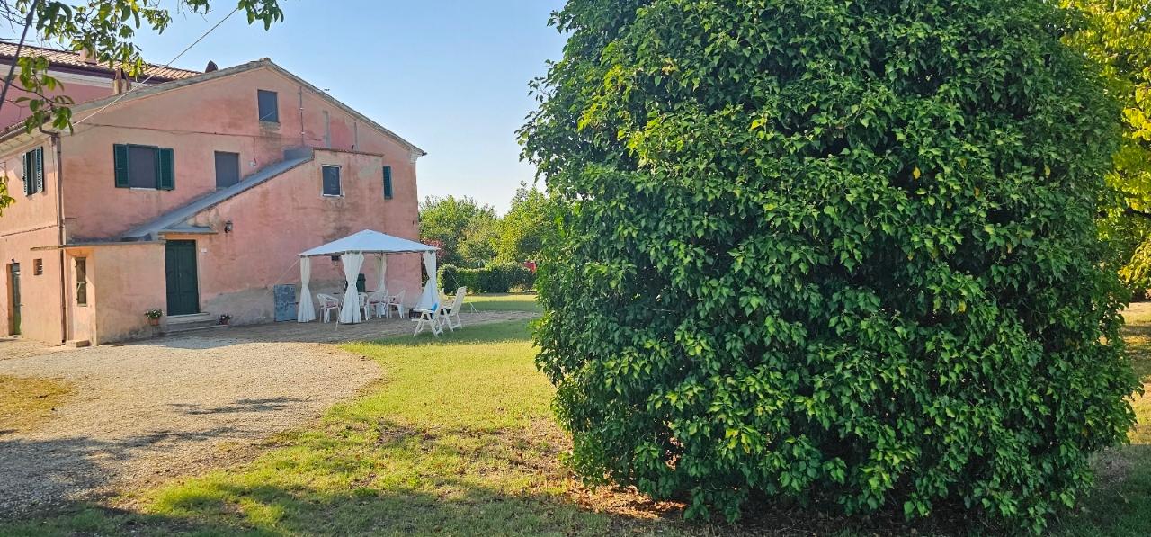 5-salle Maison à Monte Roberto, Italy No. 118631