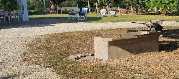 5-salle Maison à Monte Roberto, Italy No. 118631 17