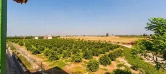 5 Schlafzimmer Haus in Almoradi, Spain, Nr. 176947 90