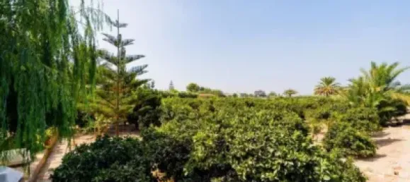 5 Schlafzimmer Haus in Almoradi, Spain, Nr. 176947 16