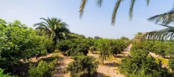 5 Schlafzimmer Haus in Almoradi, Spain, Nr. 176947 63