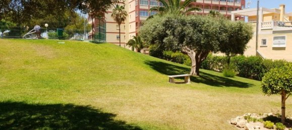 1 bedroom Apartment in Torrevieja, Spain No. 151022 36