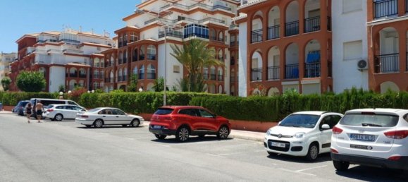1 bedroom Apartment in Torrevieja, Spain No. 151022 29