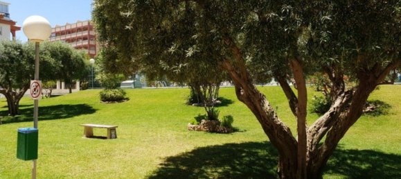 1 bedroom Apartment in Torrevieja, Spain No. 151022 35