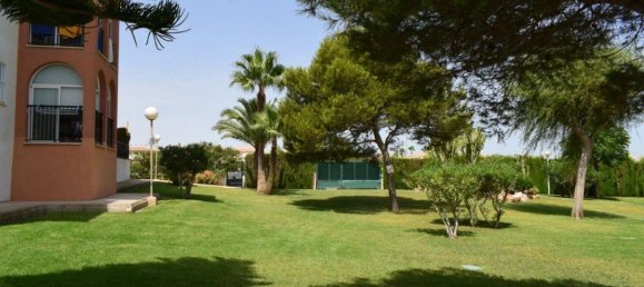 1 bedroom Apartment in Torrevieja, Spain No. 151022 39