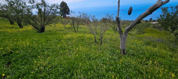 Grundstück in Kiel, Germany, Nr. 219191 7