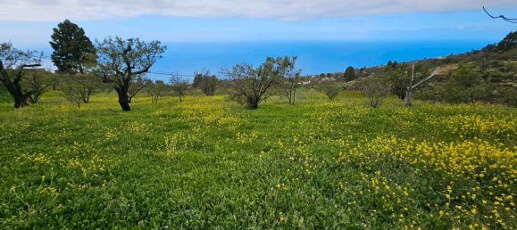 Grundstück in Kiel, Germany, Nr. 219191 5