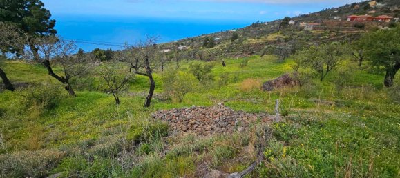 Grundstück in Kiel, Germany, Nr. 219191 9