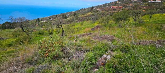 Grundstück in Kiel, Germany, Nr. 219191 2