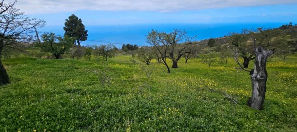 Grundstück in Kiel, Germany, Nr. 219191 4